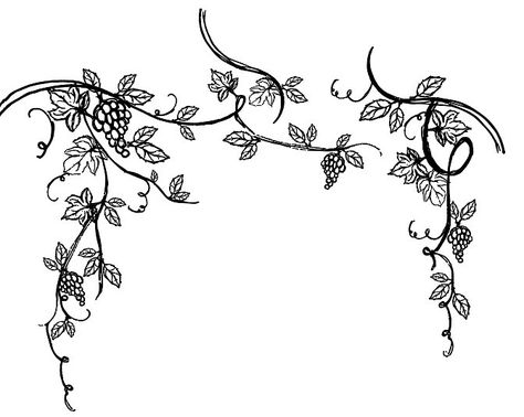 Grapevine Vector Artwork by Bluebelle Studio on @creativemarket Grapevine Tattoo, Wreath Tattoo, Vine Drawing, Vine Wreath, Henna Tattoo Designs Simple, Vine Tattoos, Line Art Tattoos, Wall Stencils, Tattoo Illustration