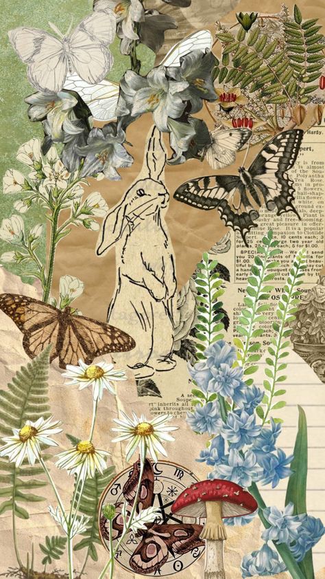 #aesthtic #collage #nature Botanical Collage, Vintage Easter Cards, Crafts For Preschoolers, Nature Collage, Collage Drawing, Collage Art Projects, Flower Collage, Paper Collage Art, Wallpaper Collage