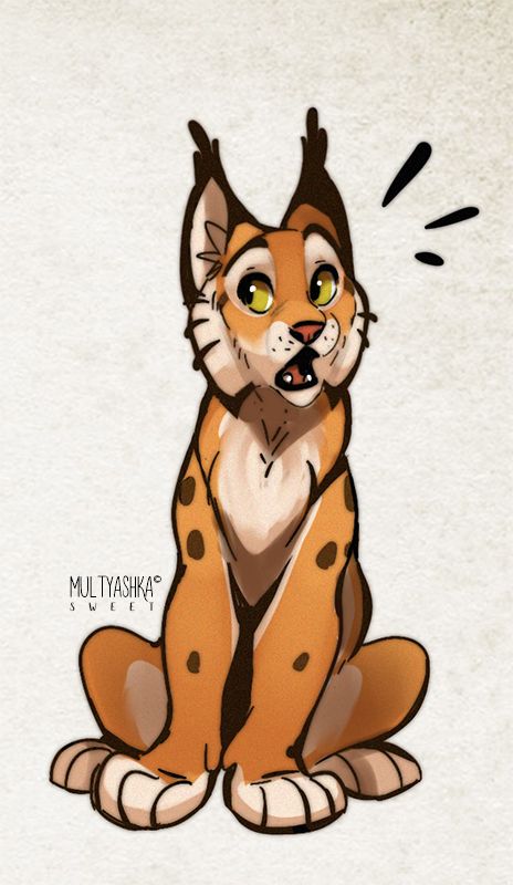 Lynx Drawing Cartoon, Linx Cat Drawing, Lynx Cat Drawing, Lynx Oc, Bobcat Drawing, Lynx Drawing, Lion King Art, Big Cats Art, Cat Sketch