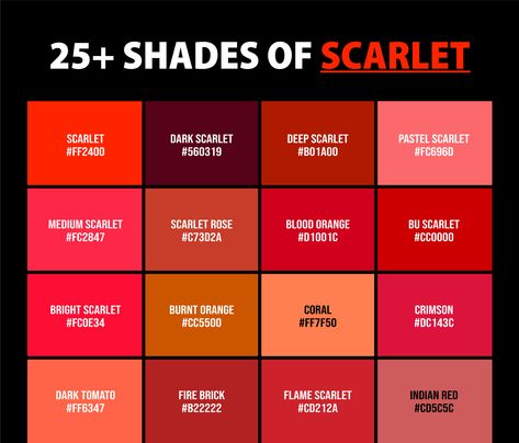 Welcome to the fabulous, sometimes confounding world of scarlet! If you thought scarlet was just your run-of-the-mill red with a fancier name, think again. From the cheeky blush of a tomato (don't even get me started on tomatoes thinking they're fruits!) to the sassy pop of a flamingo's feather, the shades of scarlet color are as varied as they are vibrant Scarlet Red Color, Scarlet Color, Different Types Of Red Color, Red Colour Palette Shades, Types Of Red Color Shades, Shades Of Red Pantone, Shades Of Red Color, Color Names Chart, Flat Color Palette