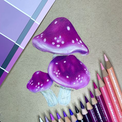 Drawing by @world_in_colorr on ig #art #artistsoninstagram #artist #artwork #mushrooms #drawing Art Ideas With Colored Pencils, Color Pencil Mushrooms, Colored Mushrooms Drawing, Mushroom Drawing Colored Pencil, Small Colored Pencil Drawings, Mushroom Realistic Drawing, Mushroom Colored Pencil Drawing, Things To Draw With Prismacolor Pencils, Cool Color Drawings