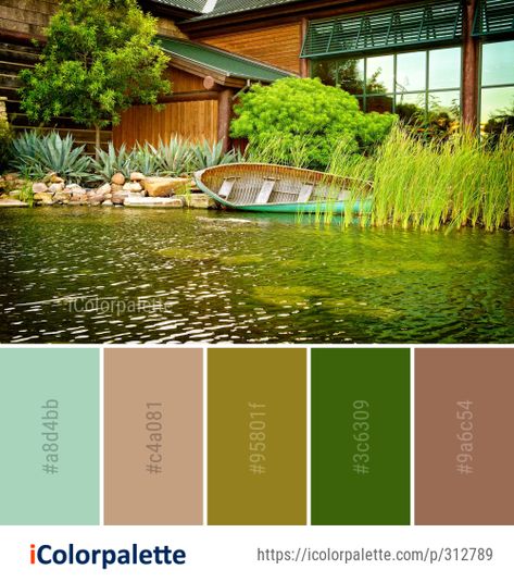 Color Palette Ideas from Water Reflection Pond Image Pond Color Palette, Pond Reflection, Reflection Pond, Frog Painting, Diy Pond, Color Palette Ideas, Water Reflection, Palette Design, Palette Ideas