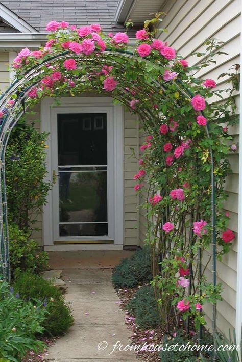 Fragrant Flowers Garden, Court Yard, Fall Room, Outdoor Trellis, Autumn Decorating, Casa Exterior, Easy Plants, Decorating Inspiration, Easy Fall