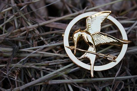 Hunger Games Mockingjay Pin, Districts Of Panem, Mockingjay Pin, Nyc Vegan, Games Aesthetic, Katniss And Peeta, Hunger Games 3, Hunger Games Series, His Dark Materials