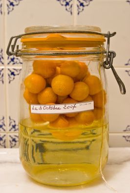 Homemade Booze, Homemade Liqueur Recipes, Homemade Liquors, Homemade Wine Recipes, Limoncello Recipe, Homemade Alcohol, Homemade Liquor, Liquor Recipes, Moonshine Recipes