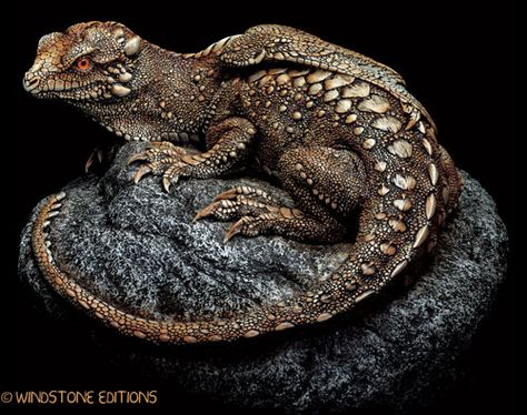 Rock Dragon, Beautiful Dragons, Windstone Editions, Dragon Anatomy, Alien Drawings, Beast Creature, Paint Sample, Dragon Sculpture, Beautiful Dragon