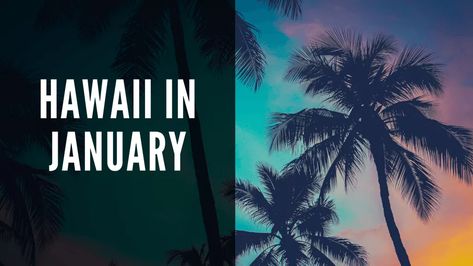 Hawaii In January, Hawaii In October, Hawaii In December, December Travel, Hawaii Nails, Trip To Hawaii, Visit Hawaii, Budget Vacation, Hawaiian Vacation