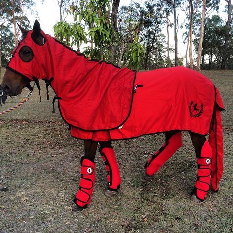 Red Tack Sets, Horse Rug, Horse Shop, Horse Rugs, Dream Horse, Tack Sets, Horse Tack, Red Rugs, Equestrian