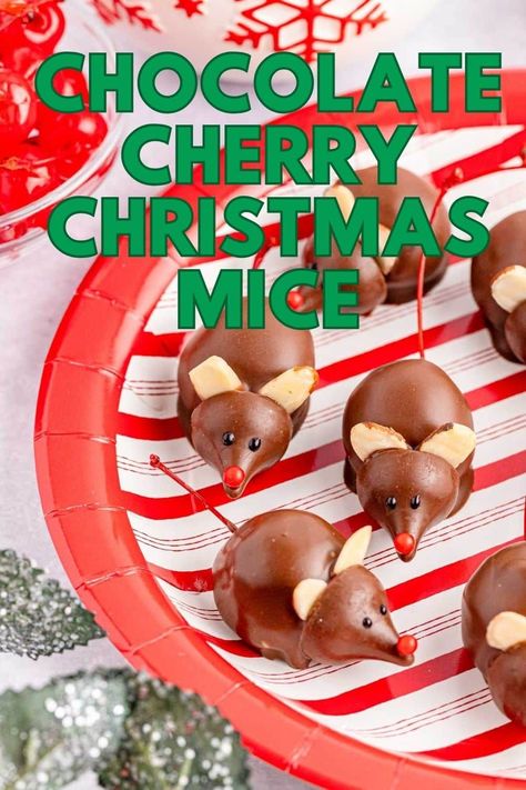 Chocolate Covered Cherry Mice Recipe: Get the kids to help you make these cute mice chocolate-covered cherries. They are fun, easy, and made with simple ingredients. Oh, and they are so yummy! Chocolate Cherry Christmas Mice, Chocolate Covered Cherry Mice, Chocolate Mice Cherries, Chocolate Cherry Mice, Cherry Mice, Mouse Recipes, Cherry Christmas, Chocolate Covered Cherry, Fun Holiday Treats