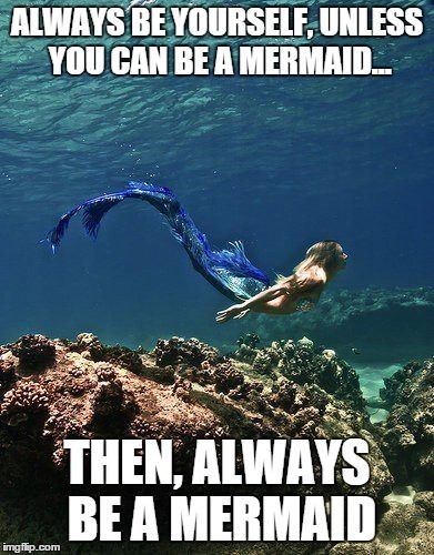 How to "Be Yourself" According to 8 Memes and a Journal – EpicPew Sirens Mythology, Mermaids Sirens, Bale Dance, Mermaid Book, Pearl Mermaid, Mermaid Ideas, Mermaid Stuff, Fotografi Bawah Air, Real Mermaids