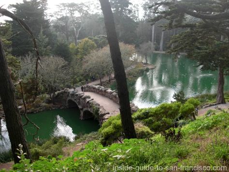 Strawberry Hill View, Stow Lake San Francisco Activities, Roman Bridge, Mt Tamalpais, Strawberry Hill, Living In San Francisco, Golden Gate Park, Central Valley, San Fran, Blue Heron