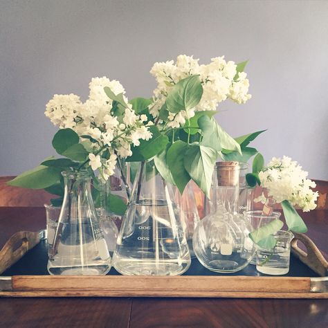 Spring flowers in vintage chemistry beakers Chemistry Themed Wedding, Beaker Centerpiece, Chemistry Flowers, Potions Decor, Science Wedding Theme, Chemistry Wedding, Vintage Chemistry, Science Wedding, Graduation Table