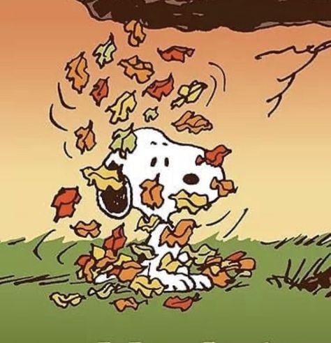 Happy First Day Of Fall, Woodstock Snoopy, Fall Humor, Fall Garden Flag, Snoopy Funny, First Day Of Fall, Snoopy Halloween, Snoopy Images, Peanuts Cartoon