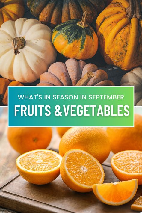 Top Fall Fruits and Vegetables to Juice This Season Vegetables To Juice, Fruits And Vegetables In Season, Vegetables In Season, Sugar Cleanse, Watermelon Juice Recipe, Healthy Cleanse, Summer Juice, Fall Fruit, Cold Press Juicer