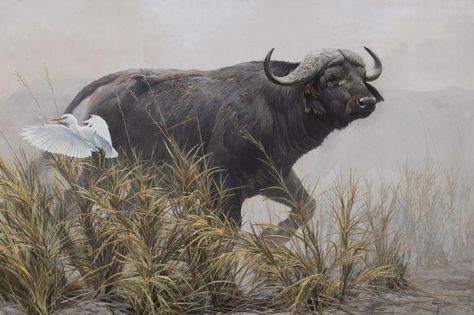 At Auction: Robert McLellan Bateman, Robert McLellan Bateman Robert Bateman Paintings Wildlife Art, Robert Bateman, American Indian Art, Southeast Asian, Paper Ephemera, Wildlife Art, Art Project, Indian Art, Chinese Art