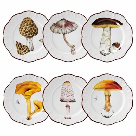 Pretty Plates, Mushroom Decor, China Painting, Soup Plating, Mushroom Art, Dinner Plate Sets, Plates Set, Hand Painted Porcelain, Porcelain Painting