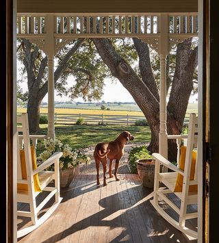 Farm Lifestyle, Future Farms, Dream Life House, Southern Life, Ranch Life, Rocking Chairs, Dream House Exterior, Take Me Home, Dream House Plans