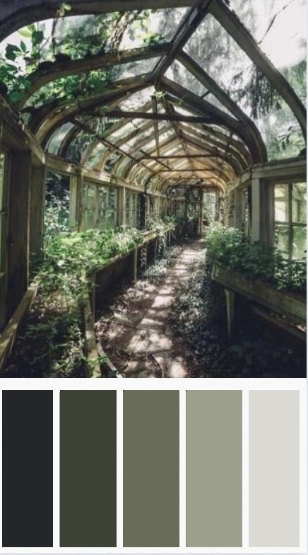 Abandoned greenhouse color palette Greenhouse Color Palette, Abandoned Greenhouse, Names List, Outdoor Patios, Green Palette, Green Colour Palette, Green Colour, Color Charts, Color Chart