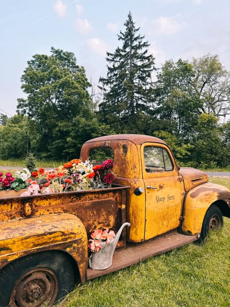 Farm Truck Photography, Old Truck Wedding Decor, Vintage Car Photoshoot, Old Truck Photography, Truck Planter, Photo Props Ideas, Scout Truck, Fall Photo Props, Homesteading Life