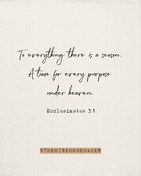 @thewisehomemaker shared a photo on Instagram: “He makes all things beautiful in His time. 💕🍁🍂 Happy Fall!” • Sep 22, 2021 at 12:50pm UTC He Makes All Things Beautiful, All Things Beautiful, In His Time, Happy Fall, Wise Words, A Photo, On Instagram, Instagram
