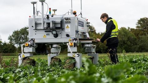 Agriculture Technology Innovation, Agriculture Robot, Technology In Agriculture, Agriculture Technology, Agricultural Engineering, Robotic Automation, Retail Technology, White Asparagus, Farming Equipment