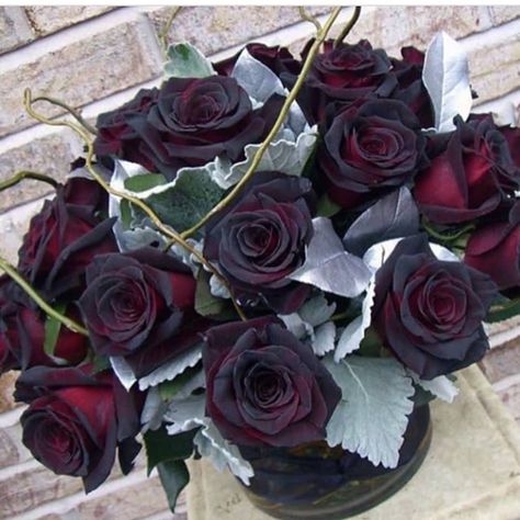 I wish you the best in 2019. 🖤🌹 Real Black Roses, Black Baccara Roses, Spooky Plants, Emo Nemo, Black Rose Bouquet, House Accents, Gothic Wardrobe, Black Baccara, Dark Roses