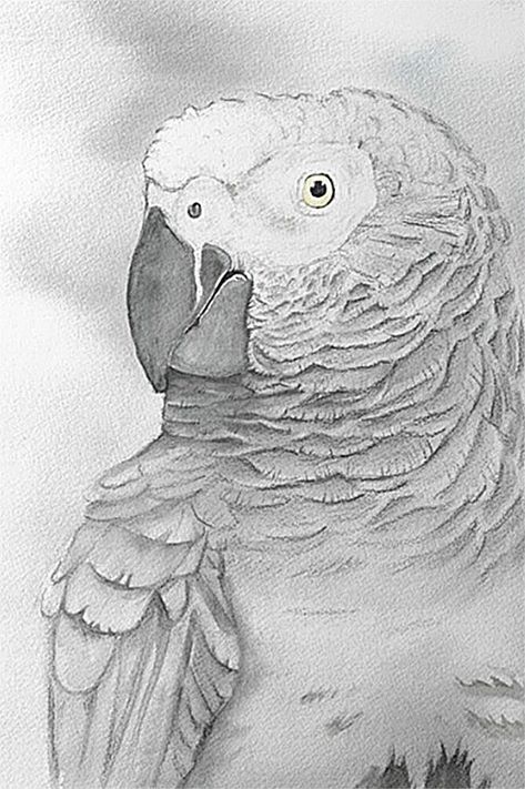 African Grey Parrot watercolor bird portrait Grey Parrot Tattoo, Parrot Watercolor, Gray Parrot, Parrot Tattoo, Bird Portrait, Watercolor Portrait Painting, Grey Parrot, Bird Watercolor, African Grey Parrot