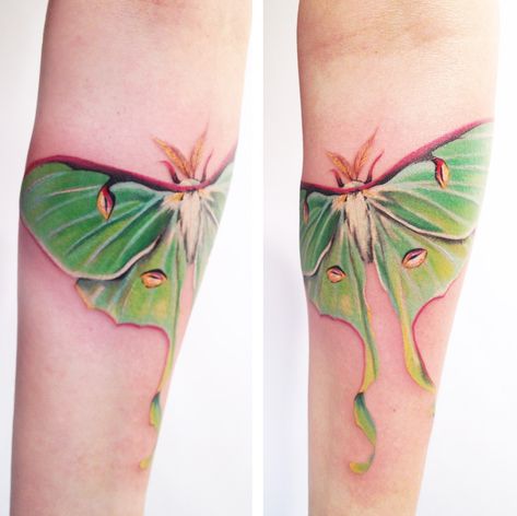 Luna moth - beautiful!  Artist Amanda Wachob  YESSS. This is it. Moth Beautiful, Moth Tattoo Meaning, Lunar Moth Tattoo, Luna Moth Tattoo, Moth Tattoo Design, Uv Tattoo, Lunar Moth, Inspiration Tattoo, Tattoos Geometric