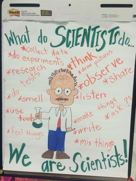 First grade science. What do scientists do? We are scientists! Anchor chart Scientist Anchor Chart, What Do Scientists Do, What Is A Scientist, Grade 3 Science, We Are Scientists, Science Anchor Charts, 1st Grade Science, First Grade Science, 5th Grade Science