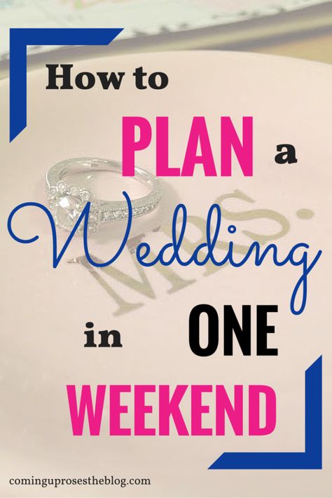 Fast Wedding Ideas, Planning A Quick Wedding, Quick Wedding Ideas, Quick Wedding Planning, Quick Wedding, Plan A Wedding, Gazebo Wedding, Wedding Planning Timeline, Surprise Wedding