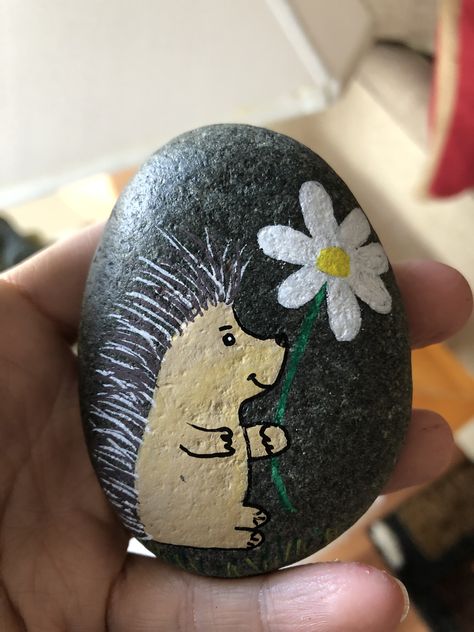 Hedgehog Rock Painting, Hand Painted Rocks, Rock Painting, Painted Rocks, Hand Painted