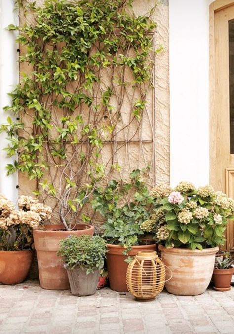 Terracotta Pots Front Door, Wood Chip Backyard, Terracotta Patio, Mediterranean Garden Design, Gravel Landscaping, Side Garden, Mediterranean Garden, Magical Garden, Tamarindo