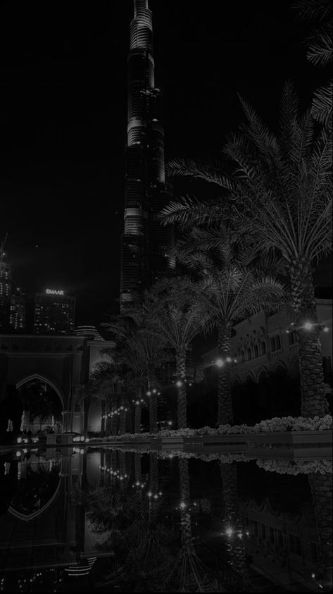 city , palm trees , black and white aesthetic , wallpaper , palm tree aesthetic , city aesthetic , black and white wallpaper , black and white , water , city view Palm Trees Black And White, Aesthetic Black And White Wallpaper, Black And White Aesthetic Wallpaper, Palm Tree Aesthetic, Trees Black And White, White Aesthetic Wallpaper, Water City, Tree Aesthetic, Wallpaper Black And White