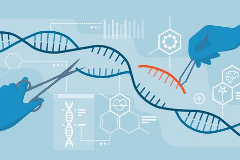 The advancements in genetic engineering, particularly with the advent of CRISPR-Cas9 technology, have opened a new chapter in biomedicine… Continue reading on Medium » Human Embryo, Dna Sequence, Genetic Engineering, Gene Therapy, Editing Tools, Microbiology, Biotechnology, Engineering, Medical