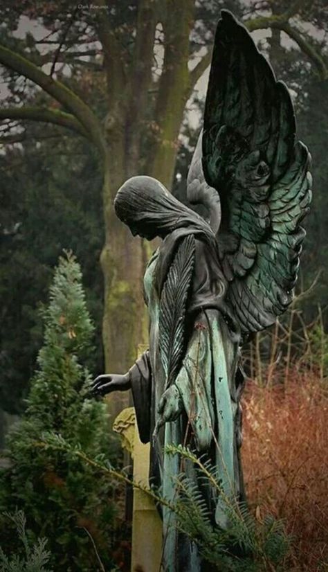 Who put you here? Angelo Guerriero, Cemetery Angels, Cemetery Statues, Istoria Artei, I Believe In Angels, Angel Statue, Angel Sculpture, Old Cemeteries, Cemetery Art