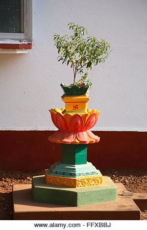 Thulasi Plant Decoration, Tulsi Vrindavan, Thulasi Plant, Tulsi Pot, Tulasi Plant, Tulsi Plant, Plant Inspiration, Diy Beach Decor, Janmashtami Decoration