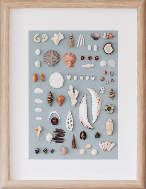 Shell Wall Hanging, Diy With Kids, Seashell Art Diy, Seashell Wall Art, Seashell Projects, Art Coquillage, Shell Crafts Diy, Sea Glass Crafts, Shell Decor