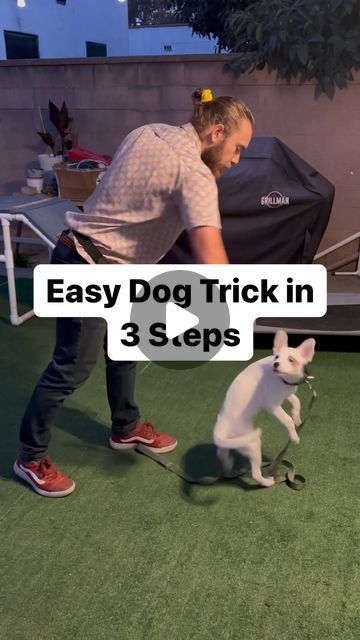 DogFather Dog Institute on Instagram: "🐶☝️Easy Dog Trick3️⃣🤓

Would you teach your puppy the Spin command? 

Follow to train the human so your dog gets more treats🐾

#puppytraining #dogtraining #dogtricks #dogtrick #spin #puppy #dog #dogsofinstagram #cutepuppy #dogtrainer" Dog Tricks Easy, Brain Games For Dogs, Dog Commands, Reactive Dog, Dog Brain, Dog Hacks, Behavior Problems, Dog Obedience, Dog Training Obedience