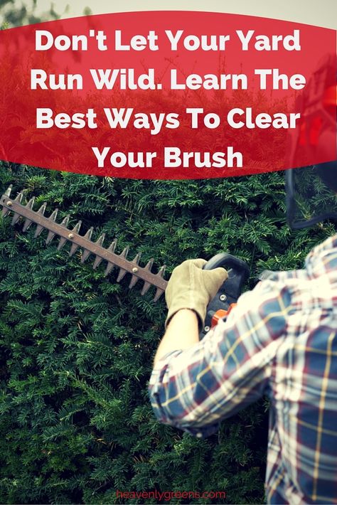 Don't Let Your Yard Run Wild. Learn The Best Ways To Clear Your Brush http://www.heavenlygreens.com/blog/dont-let-your-yard-run-wild.-learn-the-best-ways-to-clear-your-brush @heavenlygreens Overgrown Yard, Clearing Brush, Backyard Walkway, Instagram Design Creative, Lawn Tools, There Is Hope, Healthy Lawn, Brush Type, New Environment