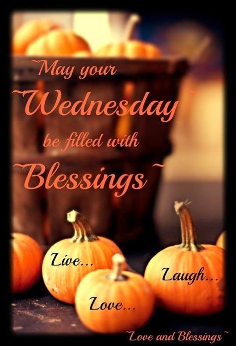 May Your Wednesday Be Filled With Blessings wednesday hump day wednesday quotes happy wednesday wednesday quote happy wednesday quotes wednesday blessings autumn wednesday quotes Wednesday Fall, Happy Wednesday Pictures, Day And Night Quotes, Wednesday Hump Day, Happy Wednesday Images, Wednesday Greetings, Good Wednesday, Blessed Wednesday, Good Morning Wednesday