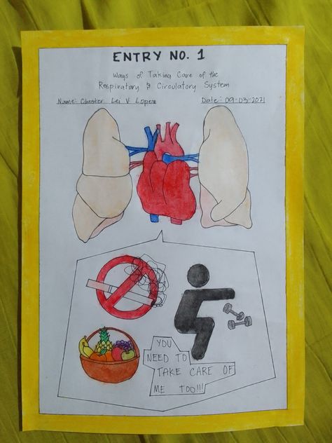 Poster About Taking Care Of Respiratory And Circulatory System, Respiratory System Projects Poster, Respiratory System Drawing Easy, Circulatory System Drawing, Respiratory System Drawing, Respiratory And Circulatory System, Respiratory System Poster, Respiratory System Projects, Circulatory System Diseases