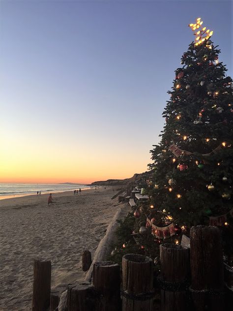 Christmas Summer Aesthetic, Christmas In Summer Aesthetic, Christmas Aesthetic Summer, Australia Christmas Aesthetic, California Christmas Aesthetic, Summer Christmas Aesthetic, Australian Christmas Aesthetic, Christmas Beach Vacation, Christmas Aussie