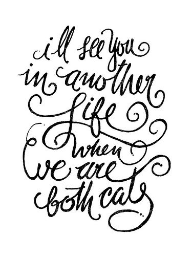 "i'll see you in another life, when we are both cats"#fabe… | Flickr Vanilla Sky Quotes, Neat Tattoos, Sky Tattoos, Cats Tattoo, Sky Quotes, Capricorn Life, Vanilla Sky, Song Book, In Another Life