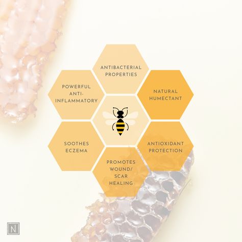 Manuka honey has been studied as an anti-acne product and found to be significantly more effective than other popular products. This is why it is particularly wonderful for those with skin conditions such as acne, eczema or psoriasis. 🍯 Coming soon to our website and Instagram shop⁠.⁠ ⁠ .⁠ .⁠ .⁠ .⁠ .⁠ #nabilakcosmetics #rawhoney #purehoney #organichoney #savethebees #honeylover #nzhoney #manukahoney #australianmanuka #newzealandmanukahoney #manukaflower Honey Instagram Post, Bee Honey Design, Honey Business, Honey Skin Care, Honey Art, Web Design Websites, Honey Drops, Bee Flower, Honey Design