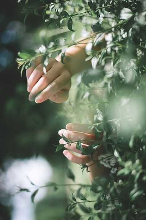 Hand Photography, The Ancient Magus Bride, Grand Art, 인물 사진, Pics Art, Character Aesthetic, Green Aesthetic, Beautiful Photography, Aesthetic Photography