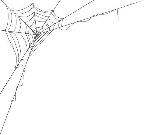 How To Paint Spider Webs, Spider Web Line Drawing, Corner Web Drawing, Spiderweb Corner Drawing, Spider Web Reference, Spider Web Png Transparent, Spider Web Line Art, Corner Spider Web Drawing, Spider Web Sketch