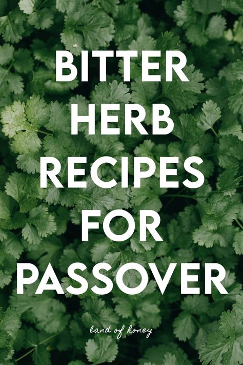 Bitter Herb Recipes for Passover | Land of Honey Bitter Herbs, Bible Food, Feast Of Unleavened Bread, Passover Feast, Seder Meal, Passover Dinner, Passover Meal, Braised Greens, Endive Salad