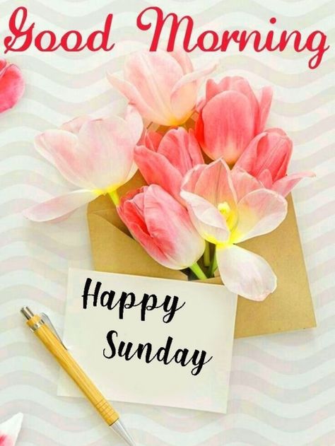 Happy Sunday Good Morning Images, Good Morning Happy Sunday Images, Sunday Good Morning Images, Happy Sunday Hd Images, Happy Sunday Good Morning, Gm Wishes, Morning Sunday Images, Sunday Gif, Happy Sunday Images