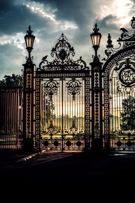 Main Gate Designs, Iron Door Design, Gate Designs, Front Gate Design, Entrance Gates Design, Iron Gate Design, Main Gate Design, Door Gate Design, House Gate Design