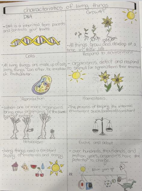 Characteristics Of Life Biology, Characteristics Of Living Things, Biology Poster, Biology Notes, Life On Earth, Science Biology, Living Things, Homeschool Science, Biology